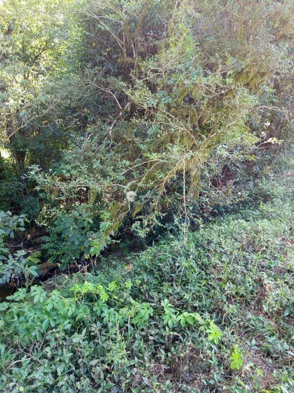 Terreno à venda no Centro: 