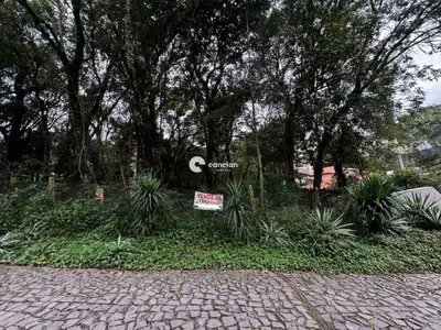 Terreno à venda no Cerrito: 