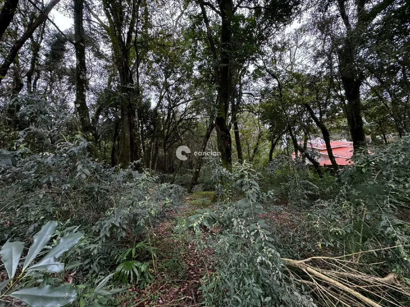 Terreno à venda no Cerrito: 