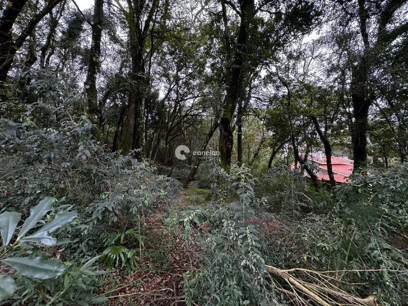 Terreno à venda no Cerrito: 