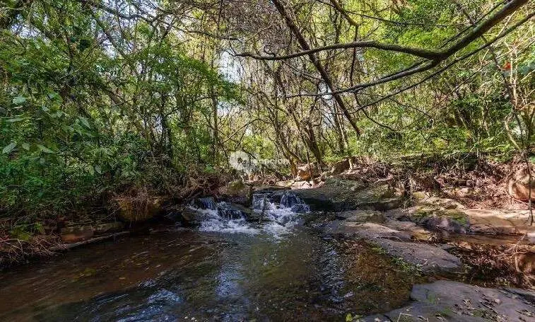 Chácara à venda no Parque Pinhal: 
