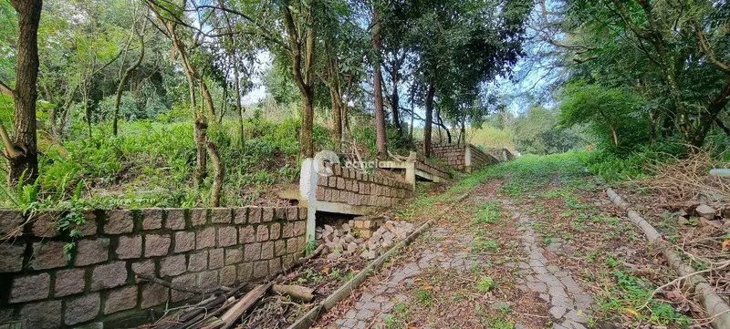 Terreno à venda no Nossa Senhora do Perpétuo Socorro: 