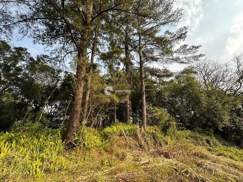 Terreno à venda no Nossa Senhora do Perpétuo Socorro: 