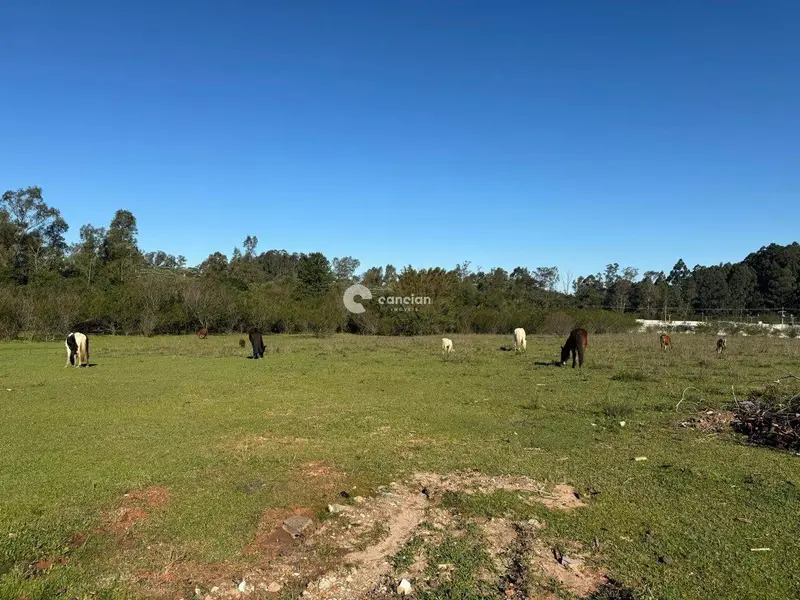 Terreno à venda no Camobi: 