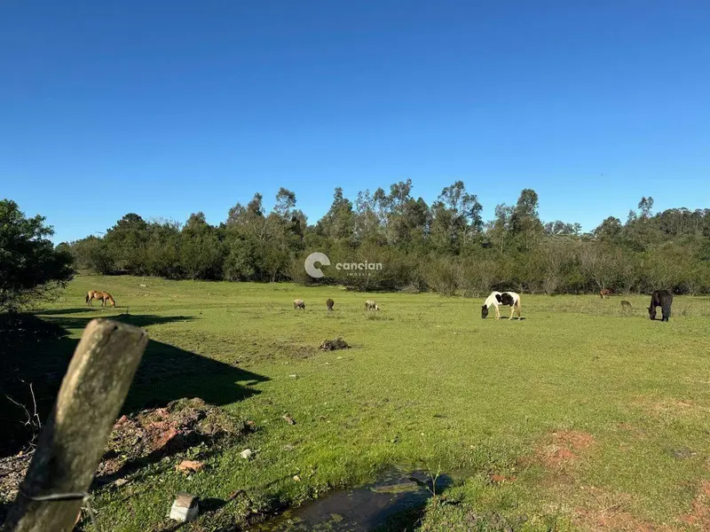 Terreno à venda no Camobi: 