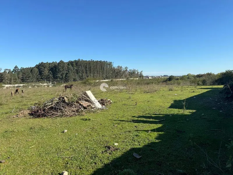 Terreno à venda no Camobi: 