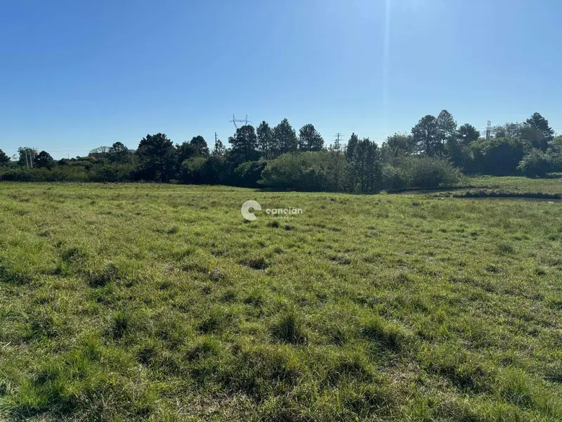 Terreno à venda no Camobi: 