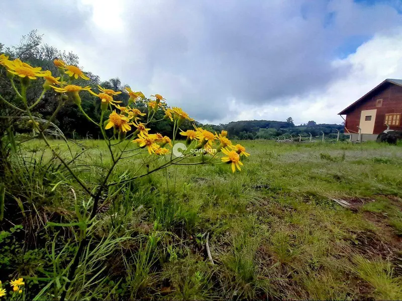Terreno à venda no Parque Pinhal: