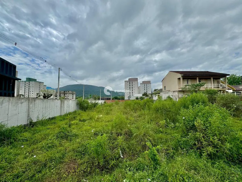Terreno Comercial para aluguel no Camobi: