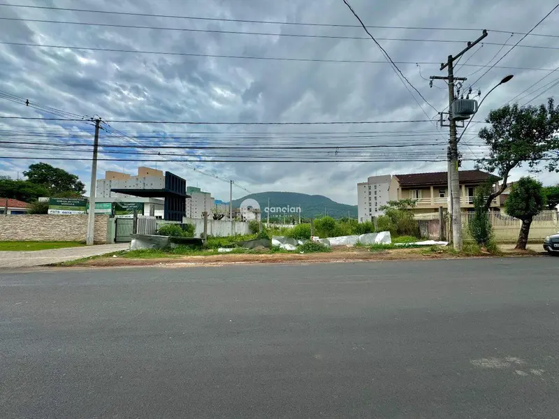 Terreno Comercial para aluguel no Camobi: