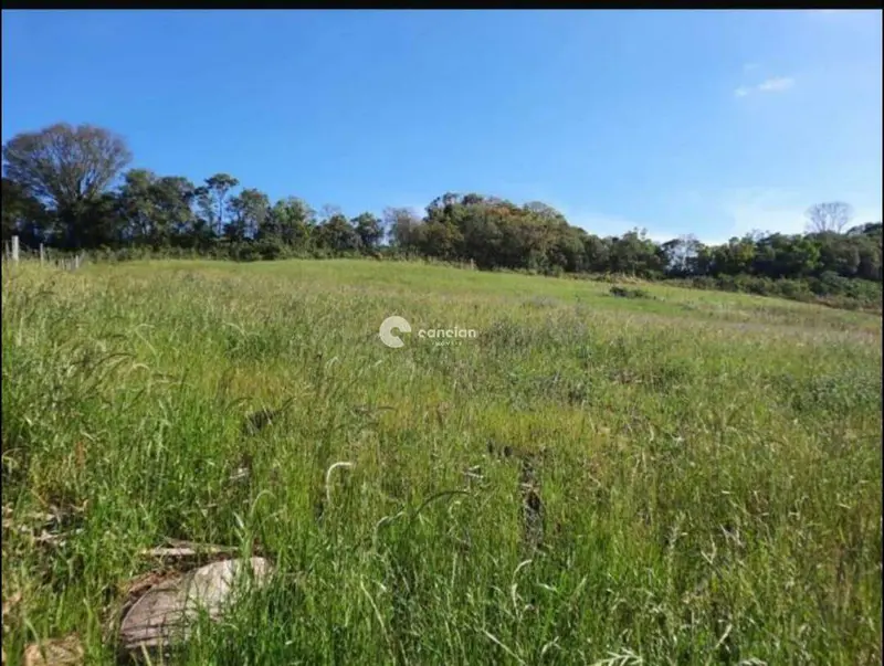 Terreno à venda no São José: 