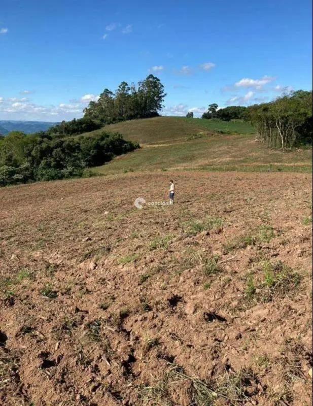 Terreno à venda no São José: 