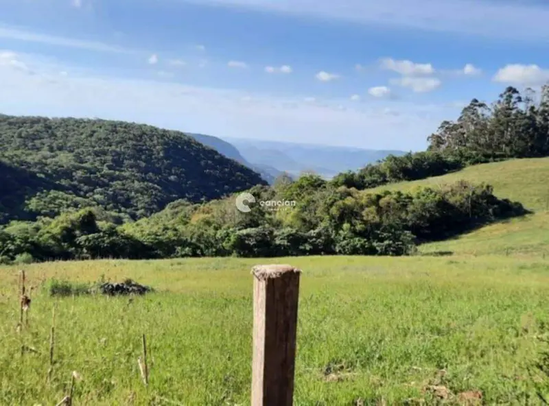 Terreno à venda no São José: 