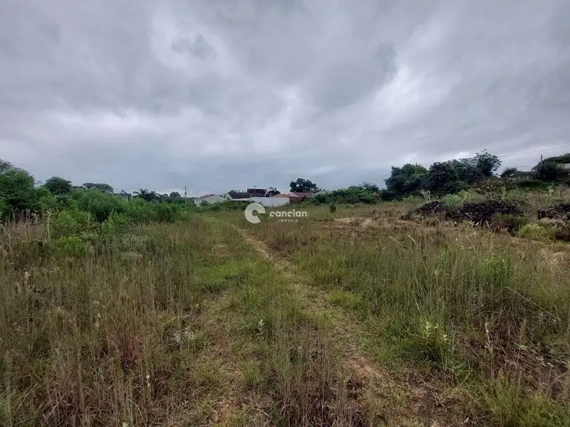 Terreno à venda no Boi Morto: 