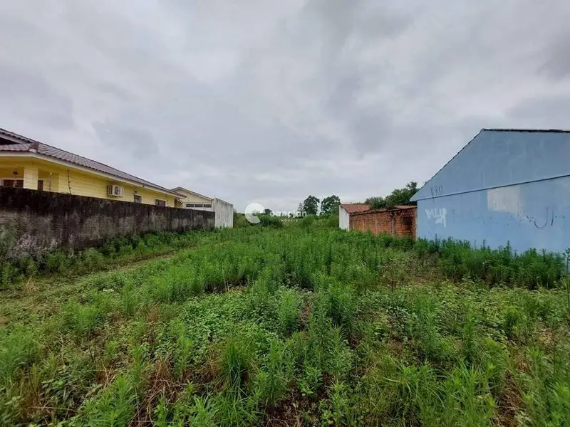 Terreno à venda no Boi Morto: 