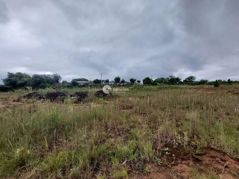 Terreno à venda no Boi Morto: 