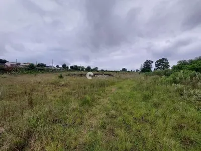 Terreno à venda no Boi Morto: 