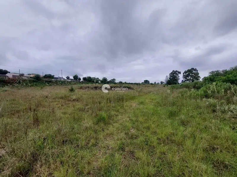 Terreno à venda no Boi Morto: 