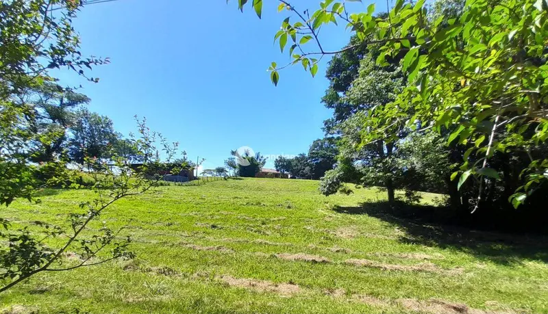 Terreno à venda no Novo Pinhal: 