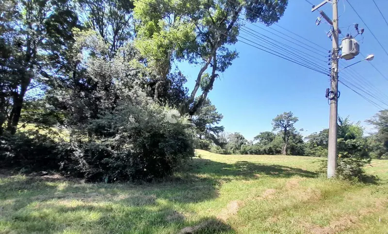 Terreno à venda no Novo Pinhal: 