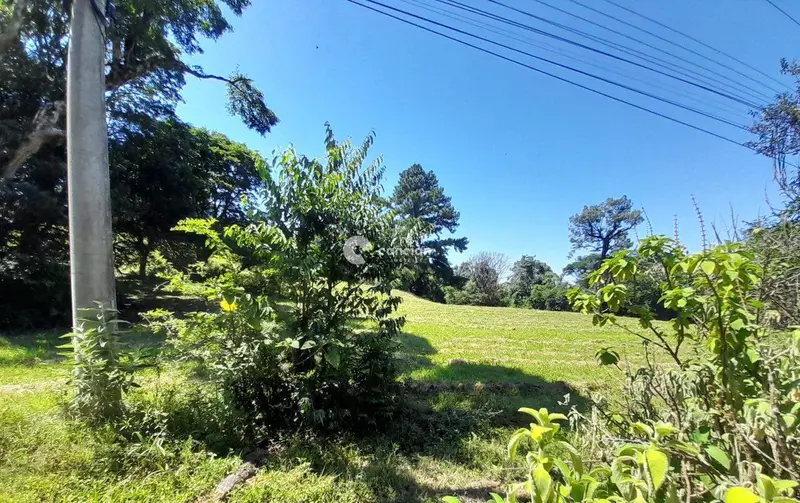 Terreno à venda no Novo Pinhal: 