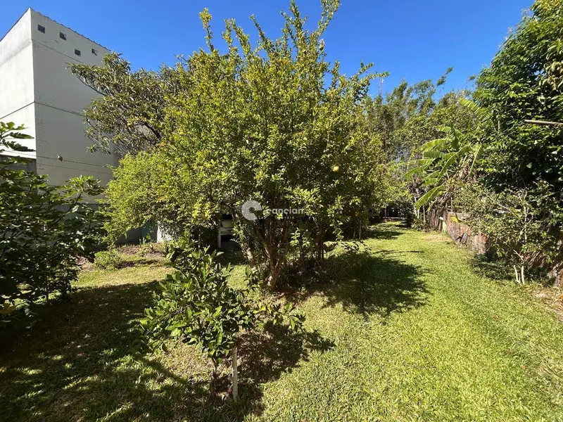 Casa à venda no Nonoai: 