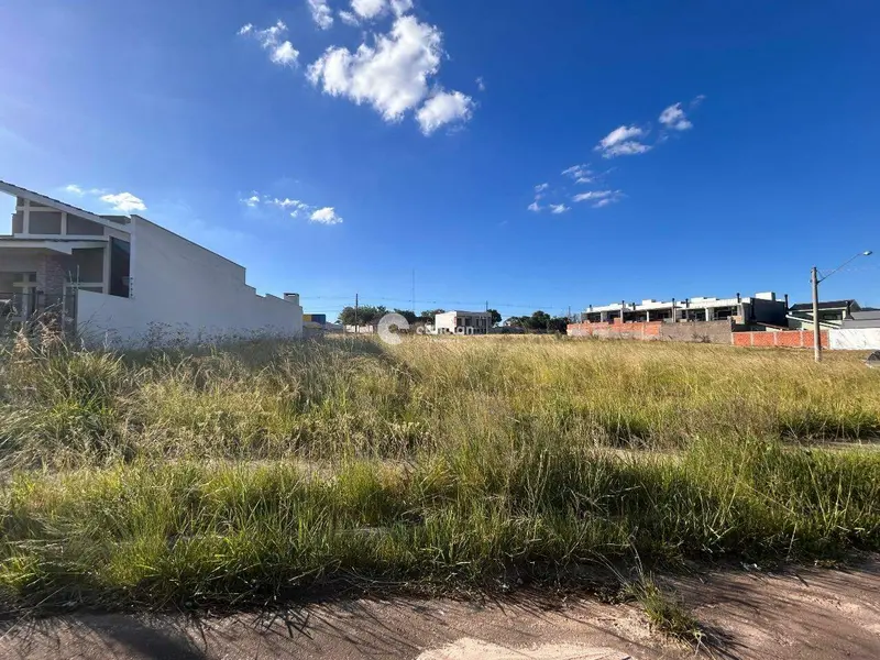 Terreno à venda no Pinheiro Machado: 