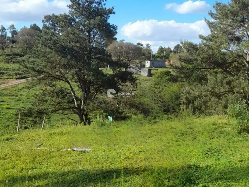 Terreno à venda no Vila Etelvina: 