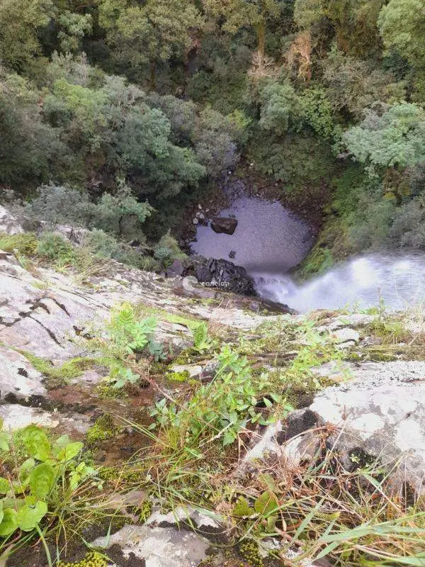 Terreno à venda no Vila Etelvina: 