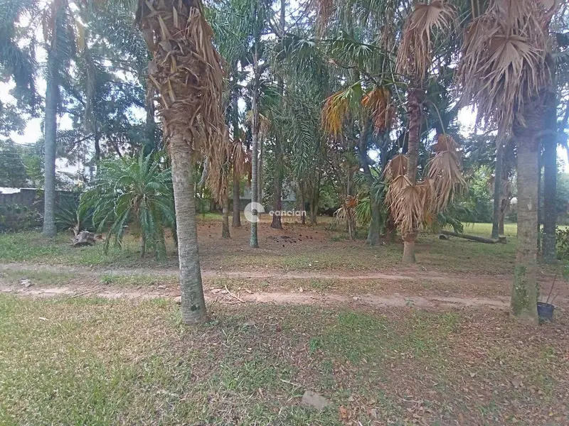 Terreno à venda no Pinheiro Machado: 