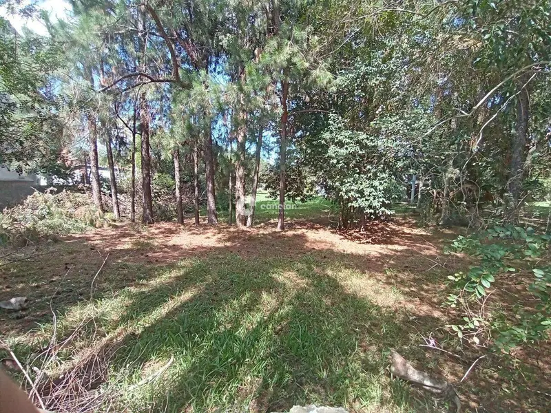 Terreno à venda no Pinheiro Machado: 