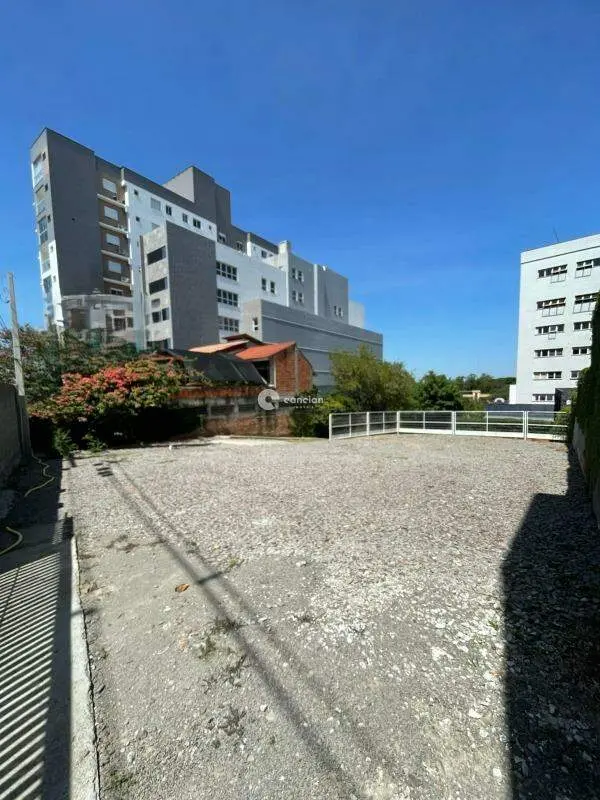 Terreno Comercial para aluguel no Nonoai: 