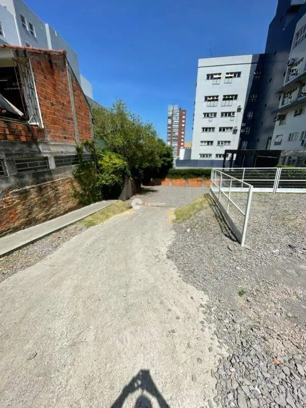 Terreno Comercial para aluguel no Nonoai: 