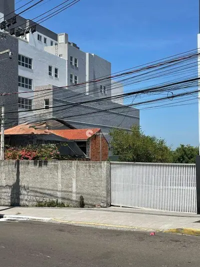 Terreno Comercial para aluguel no Nonoai: 