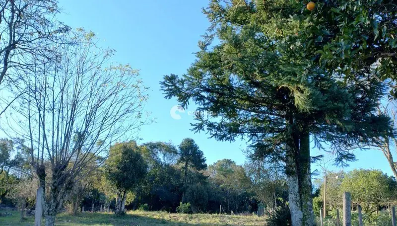 Terreno à venda no Parque Serrano: 
