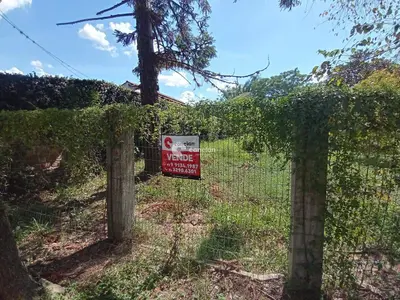 Terreno à venda no Pinheiro Machado: 