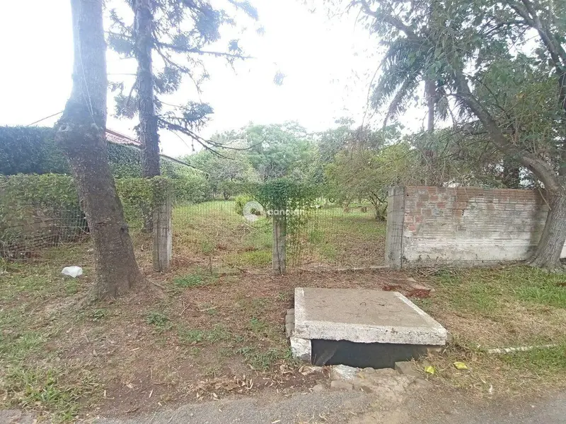 Terreno à venda no Pinheiro Machado: 