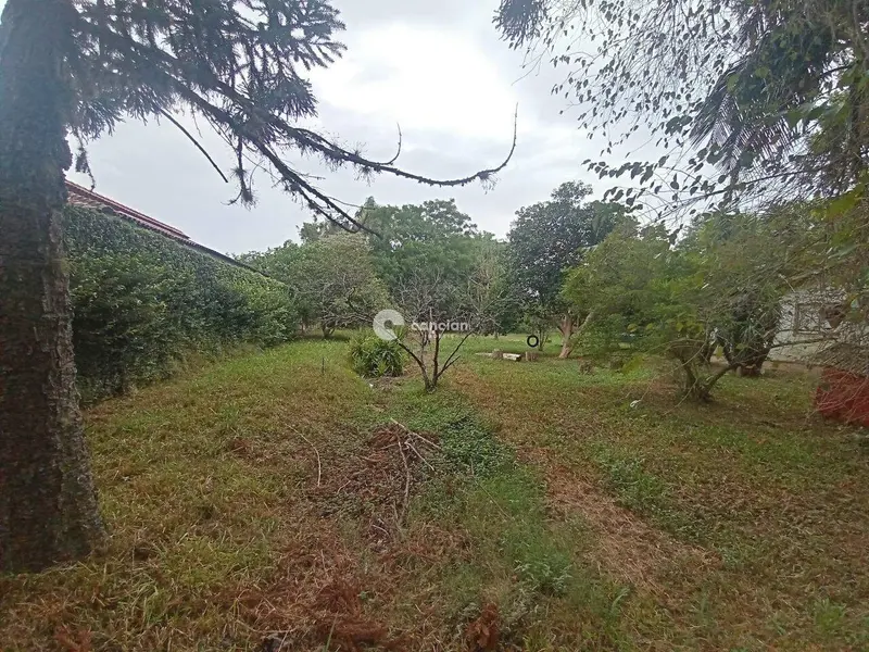 Terreno à venda no Pinheiro Machado: 