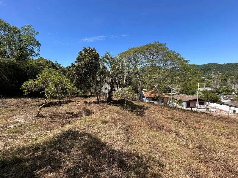 Terreno à venda no Campestre do Menino Deus: 