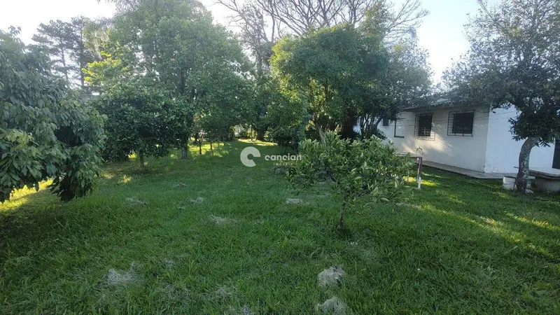 Terreno à venda no Pinheiro Machado: 