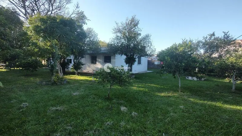 Terreno à venda no Pinheiro Machado: 