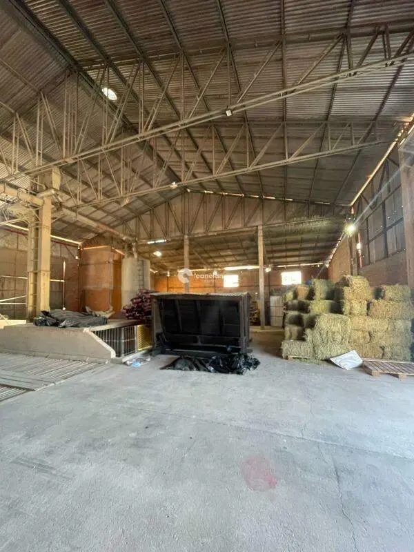Pavilhão para aluguel no São João: