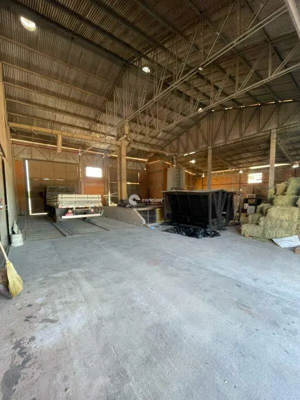 Pavilhão para aluguel no São João: