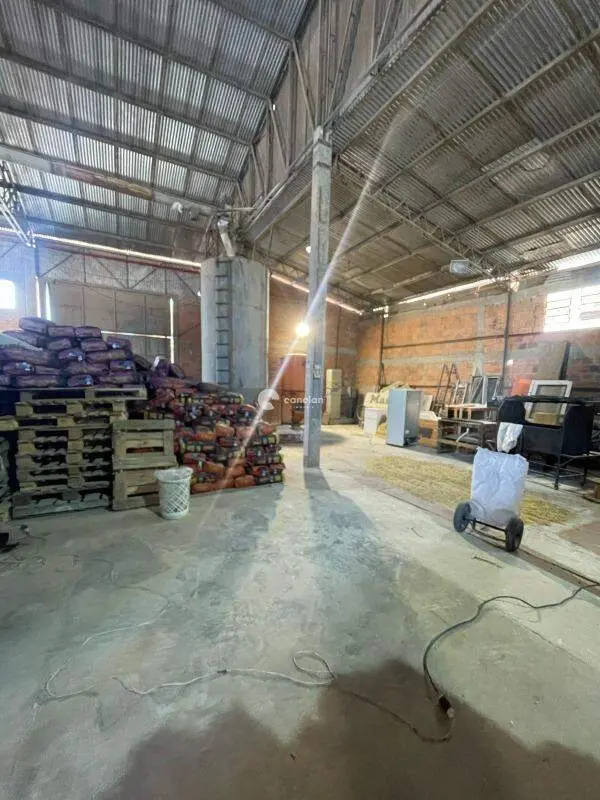 Pavilhão para aluguel no São João: