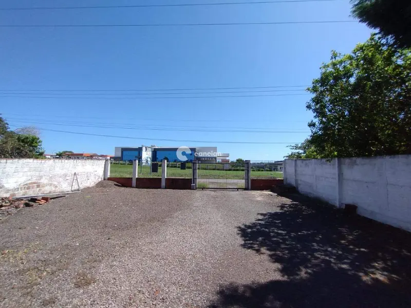 Terreno à venda no Pinheiro Machado: 