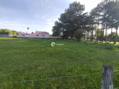 Terreno à venda no Pinheiro Machado: 