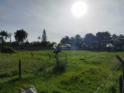 Terreno à venda no Pinheiro Machado: 