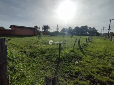 Terreno à venda no Pinheiro Machado: 
