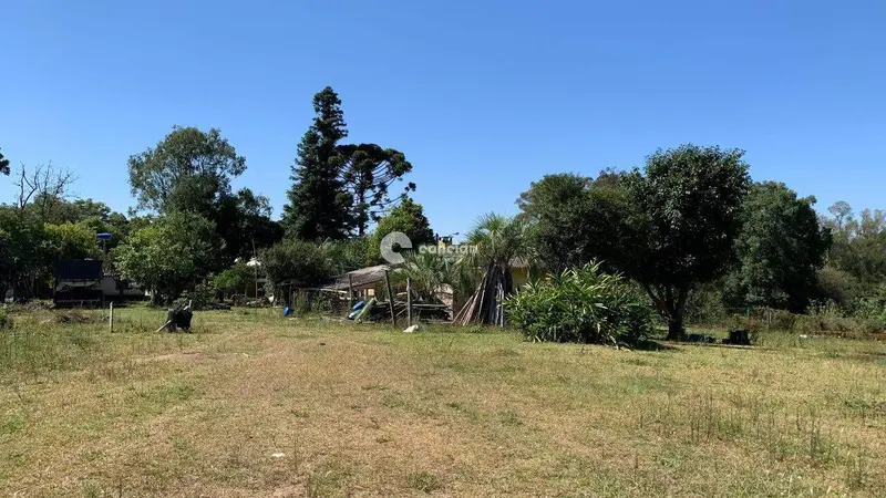 Área Rural à venda no Vila Serrana: 