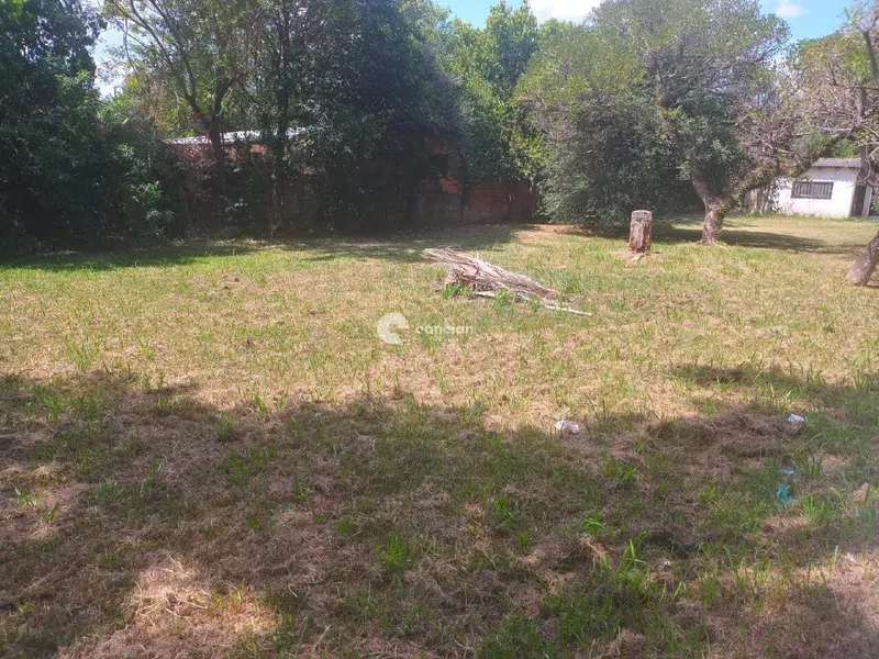 Terreno à venda no Pinheiro Machado: 